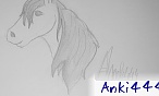 anki444