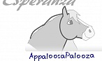 AppaloosaPalooza