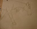 WIP