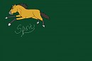 Spirit