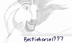 bestiehorse1997