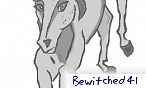 bewitched41