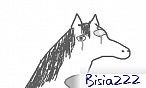 bisia222