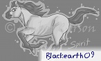 CavySpirit