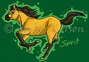 Spirit
