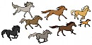 Cimarron Herd