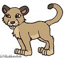 Cougar Cub