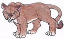 The Cougar
