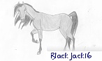 BlackJack16