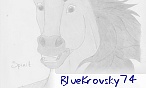 Blue Krovsky