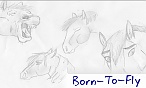 Born-To-Fly