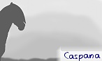 Caspana