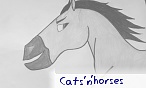 cats'n'horses cats'n'horses