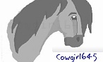 cowgirl645