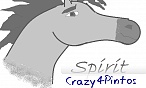 Crazy4Pintos