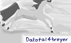 Dakota14breyer