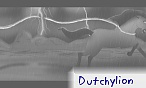 dutchylion
