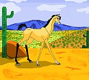 Soul in the desert...