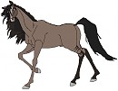 Cedar as an adult