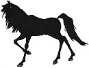 Portrait of Strider