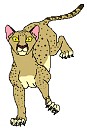 The Cougar as a cub