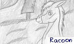 Racoon