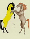 Spirit and Durango Fight