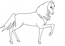Horse lineart