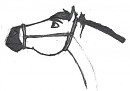 Black and White Spirit Drawing