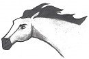 Black and White Spirit Drawing
