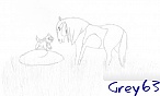 grey63