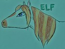 Elf for Pawface!