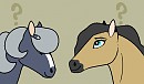 Top Mare Voting