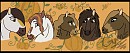 Pantha's Mate and Foals