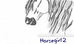 Horsegirl2