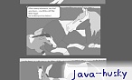 Java_husky