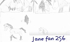 Jane fan 256