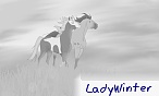 LadyWinter