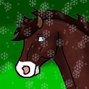 Merry Christmas MishaN!!!!
