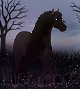 As Beautiful as the Dusk