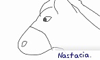 nastacia.