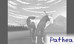 Pathea Pathea