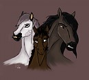 Trio 