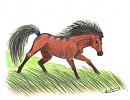 Valiant As The Wind
