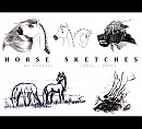 Horse Sketches