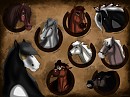 Stallion OCs