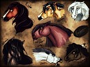 Meet The Family