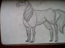 spirit sketch