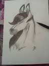 Spirit