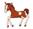 Filly Sierra